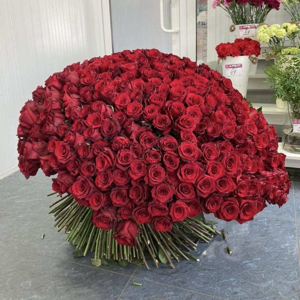 Букеты из красных роз 80 см (Эквадор) [articul: 208464]