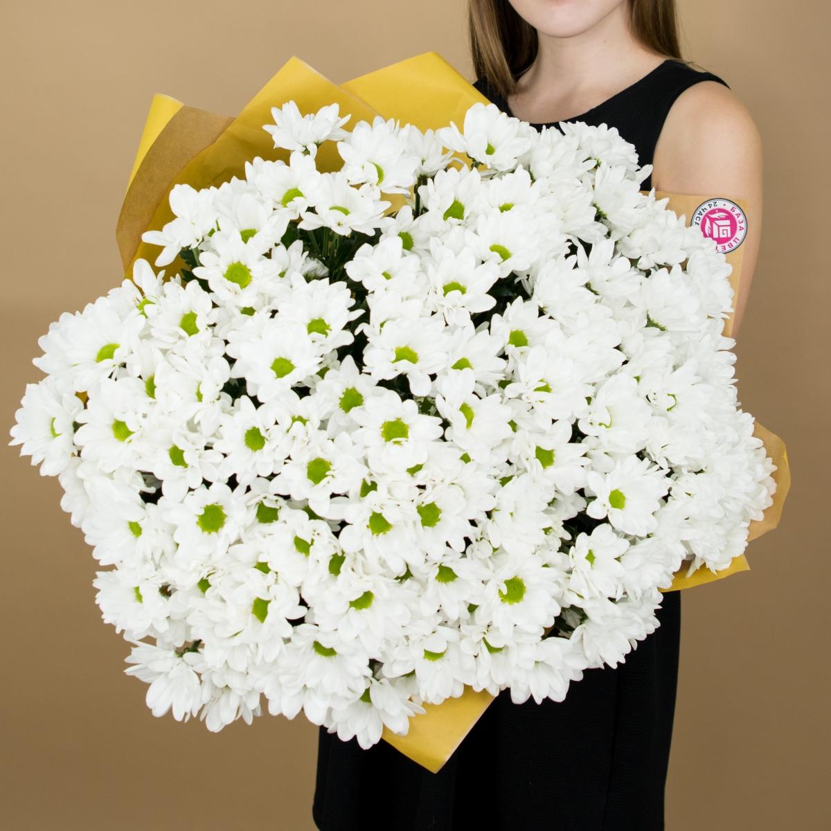 Хризантема белая (ромашка) код   3096