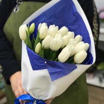Белые тюльпаны 23 шт. [артикул  346236]