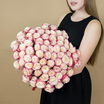 Розы красно-белые 75 шт 40 см (Эквадор) articul   91676