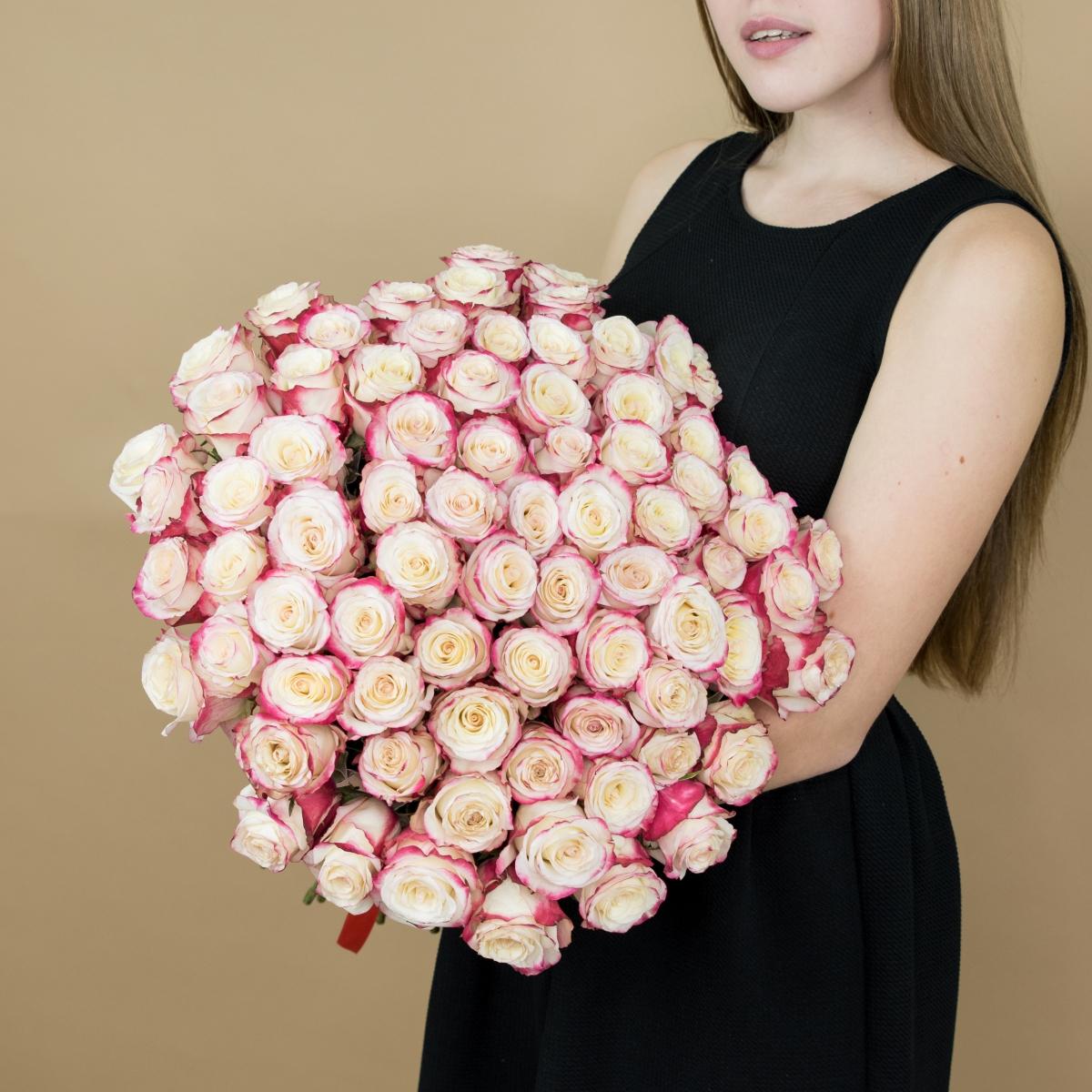 Розы красно-белые 101 шт. (40 см) [код товара: 91848]