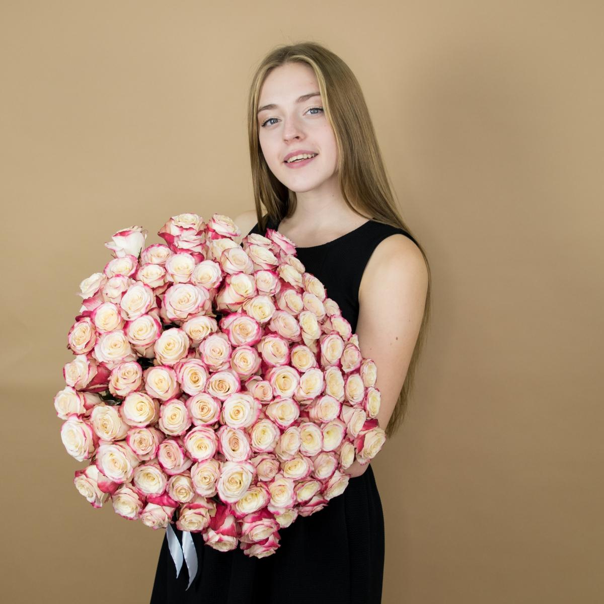 Розы красно-белые 101 шт. (40 см) [код товара: 91848]