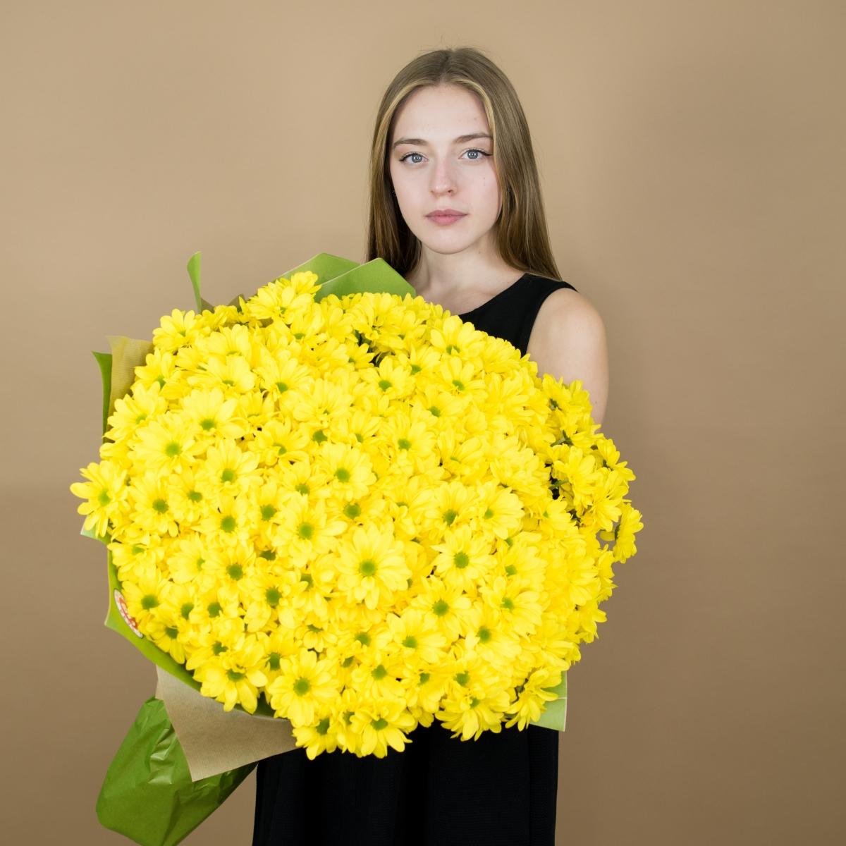 Хризантема кустовая желтая articul: 95116